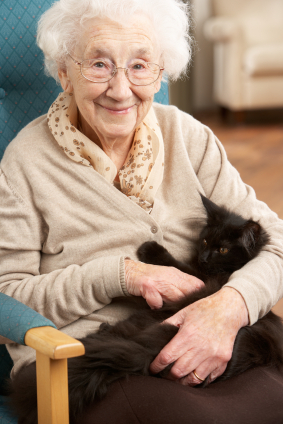 Senior woman with cat